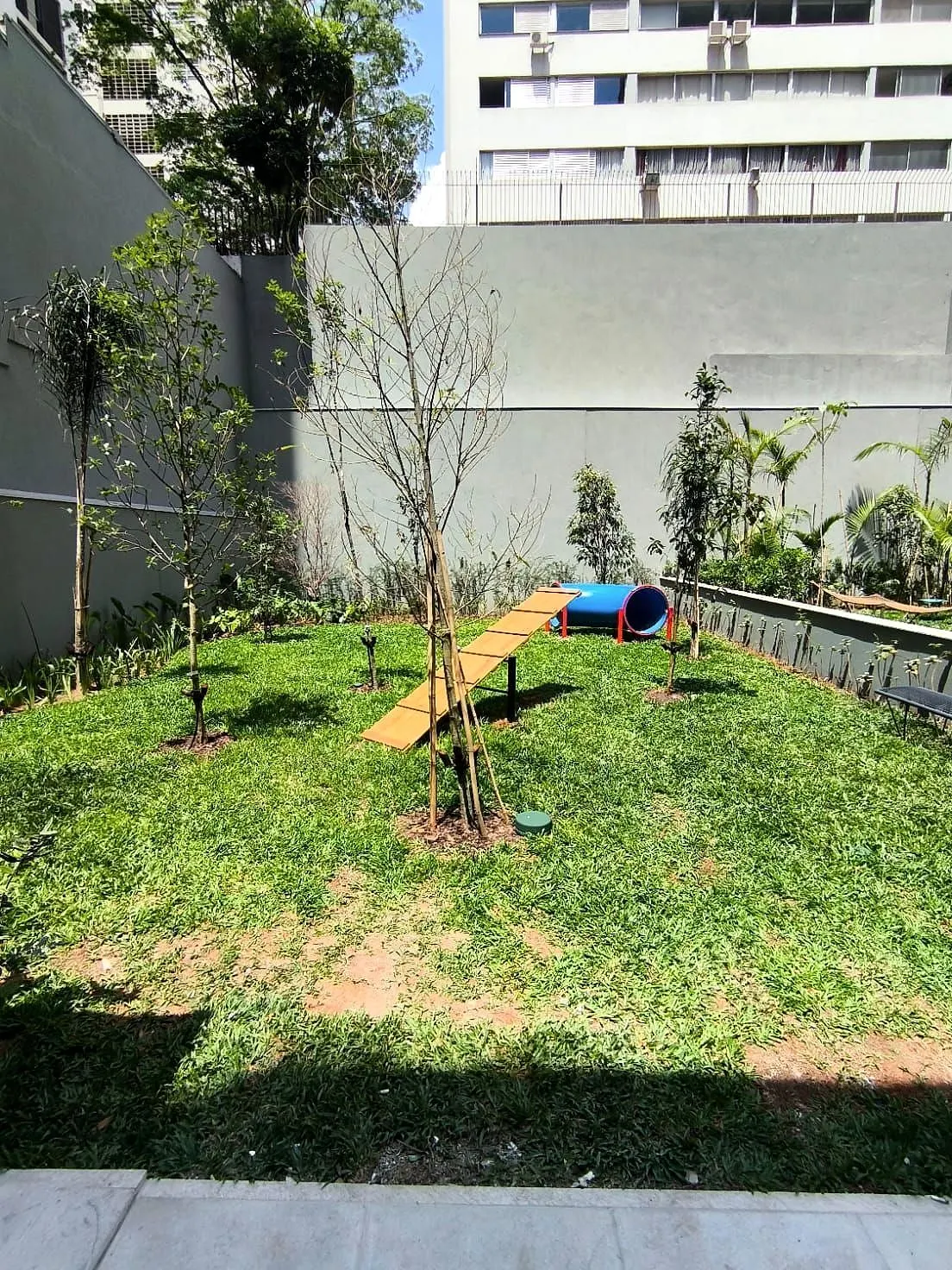 O pet garden: o gramado com a rampa e o túnel de agilidade para cães, entre mudas de árvore e canteiros.