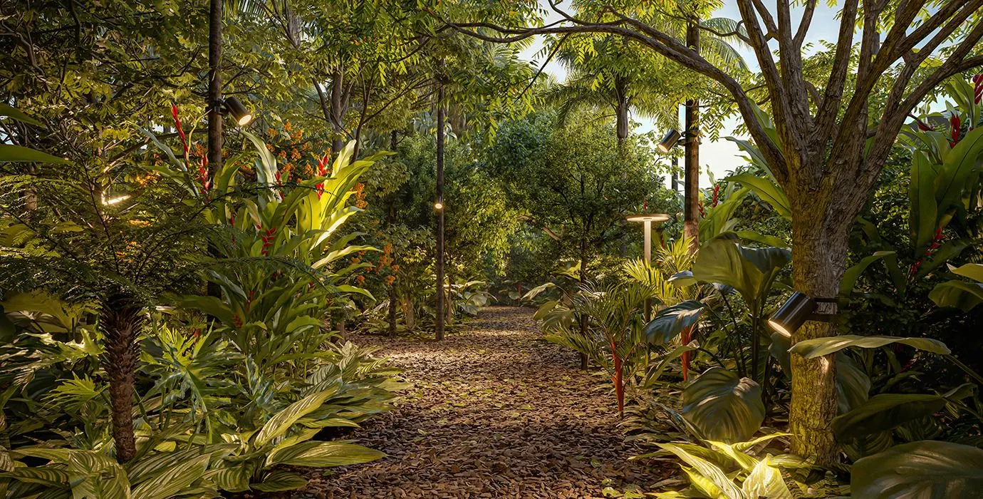 O bosque privativo: um caminho de terra entre árvores e folhagens altas, com a luz do sol entrando pelas copas.