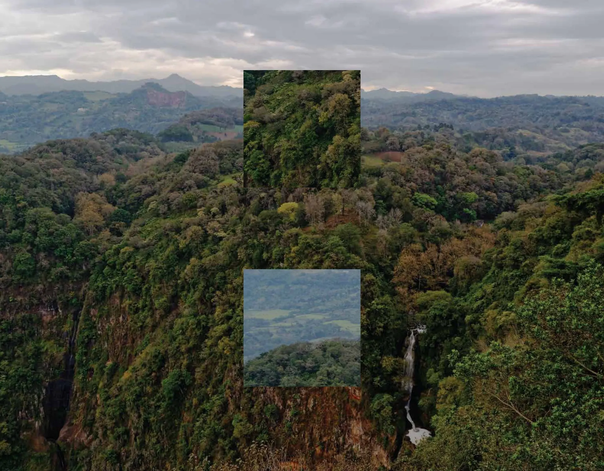 Floresta vista do alto, com serras ao fundo e dois recortes da mesma mata sobrepostos à imagem.