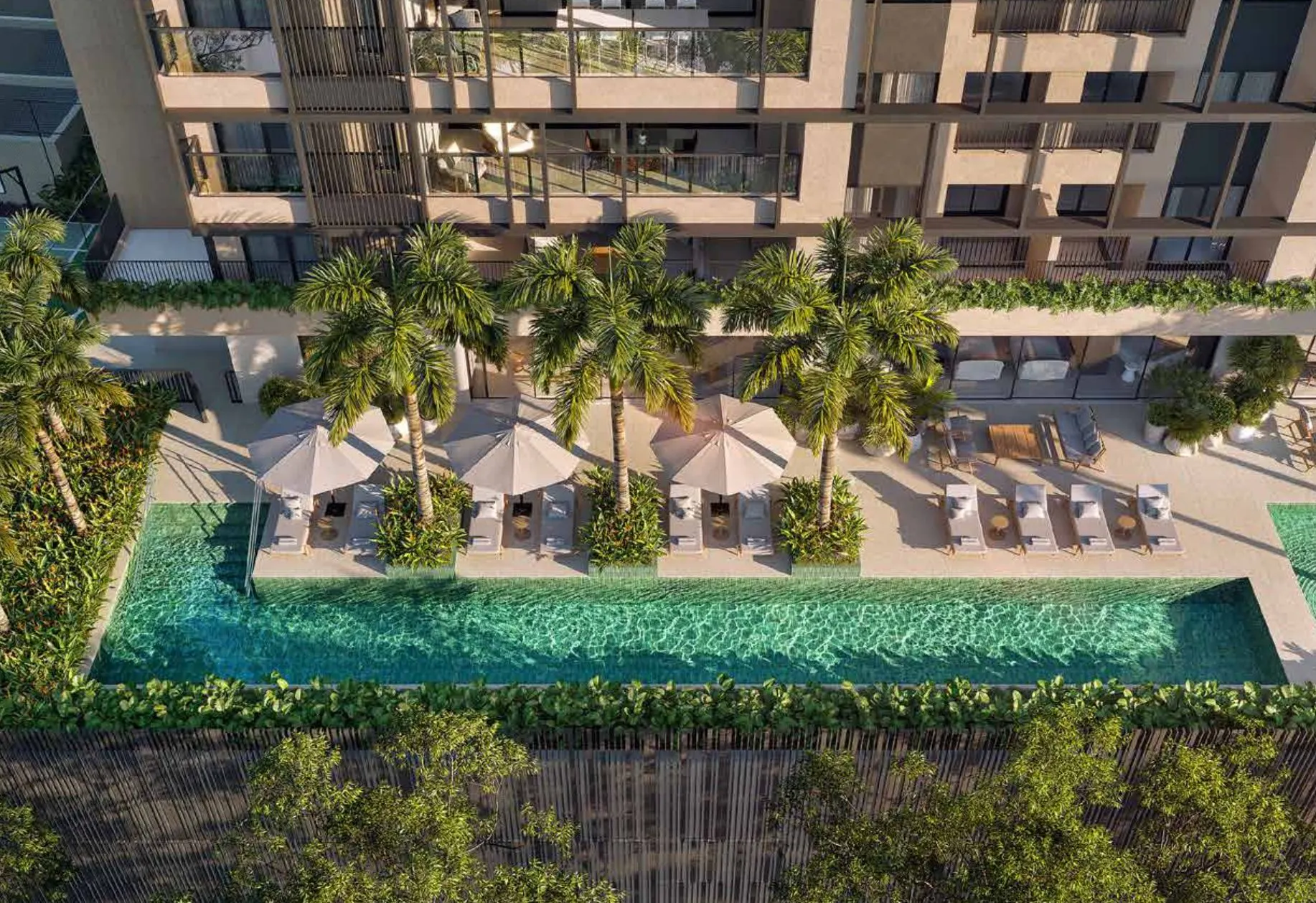 O térreo visto do alto: a piscina de raia longa entre palmeiras, com os deques e a base da torre.