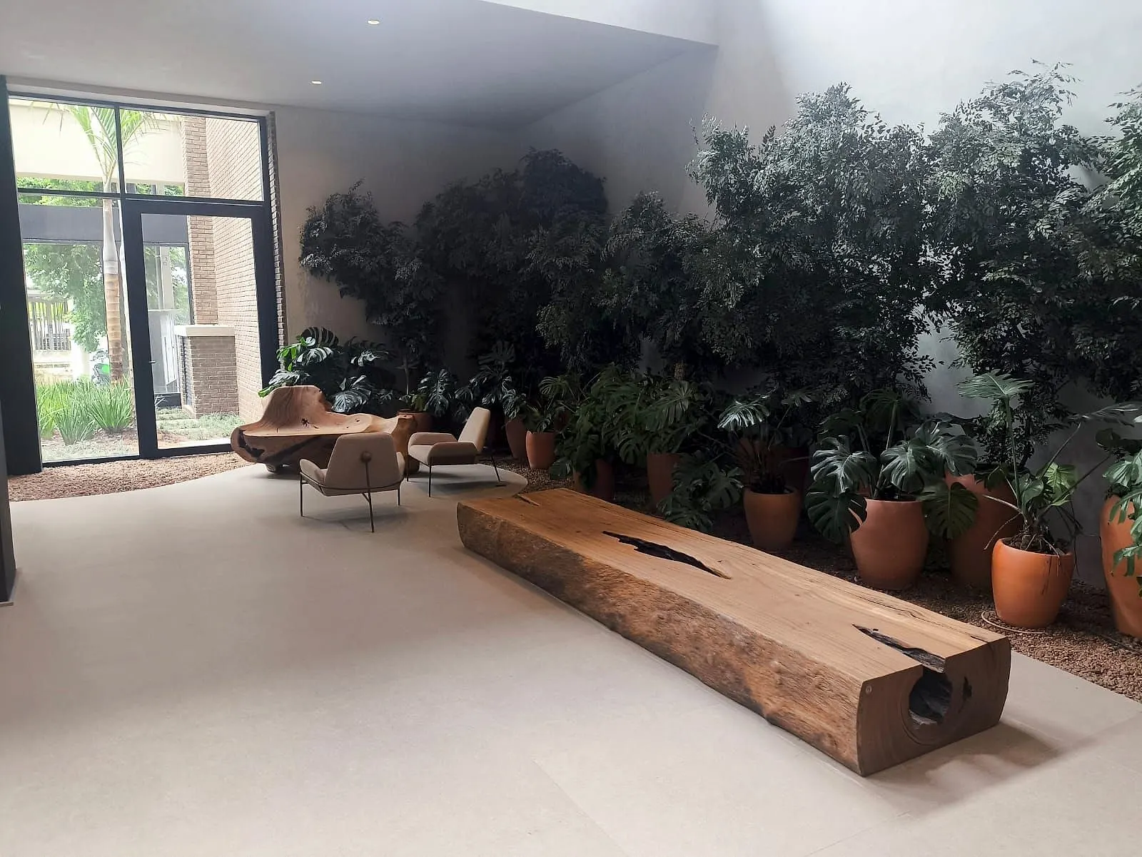 O lobby pronto: piso claro, um banco feito de tronco de madeira e um jardim interno de árvores em vasos de barro junto à fachada de vidro.