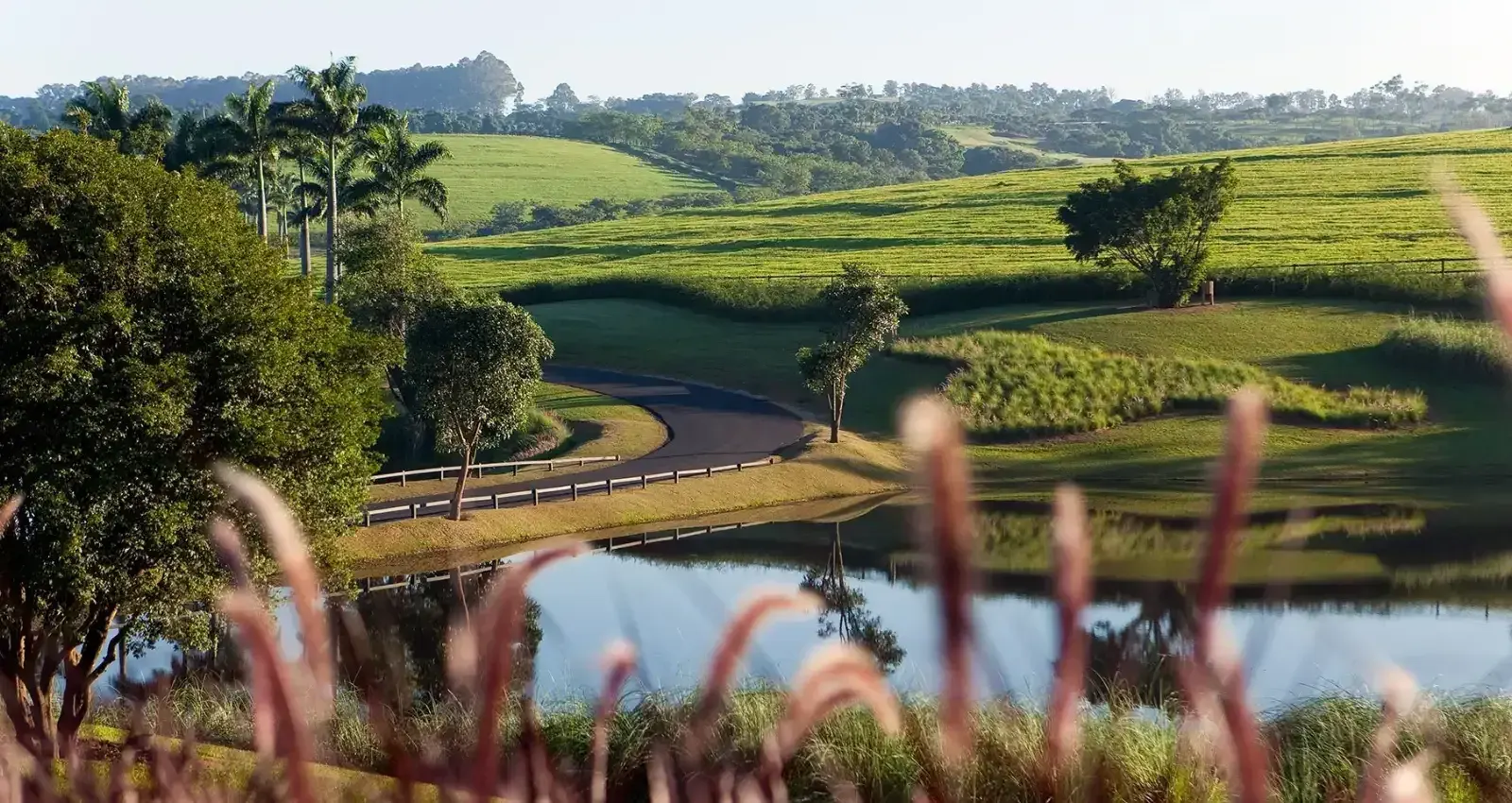 Estâncias da Fazenda Boa Vista: colinas de pasto, a mata e um lago entre o capim.