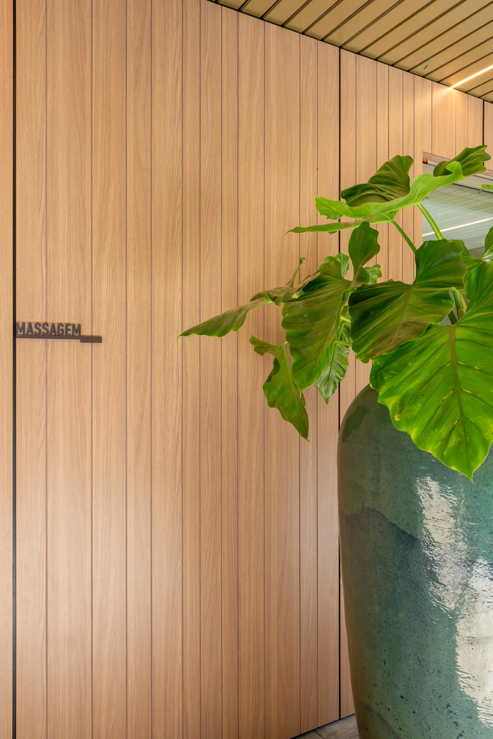 O corredor de madeira da sala de massagem, com a porta embutida e um vaso de folhagem.