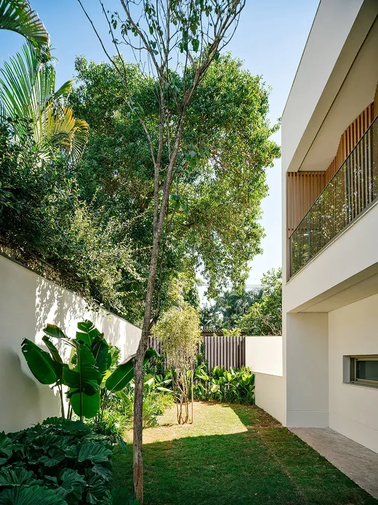 A lateral de uma casa: o gramado estreito entre o muro coberto de plantas e o volume branco, com árvores altas no fundo.