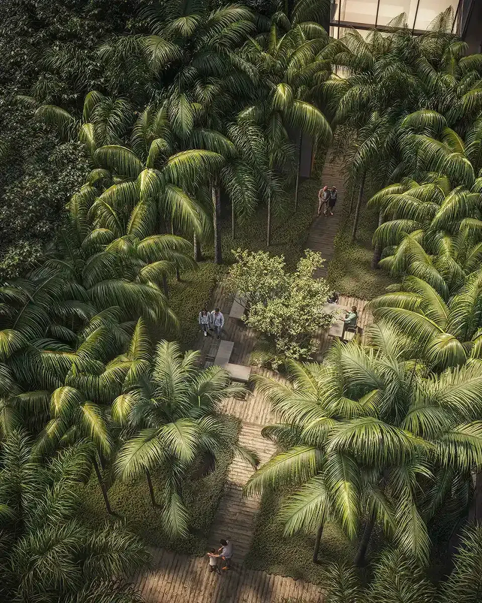 O bosque visto de cima: copas de palmeiras fechadas, um caminho de deque entre elas e pessoas conversando numa clareira.