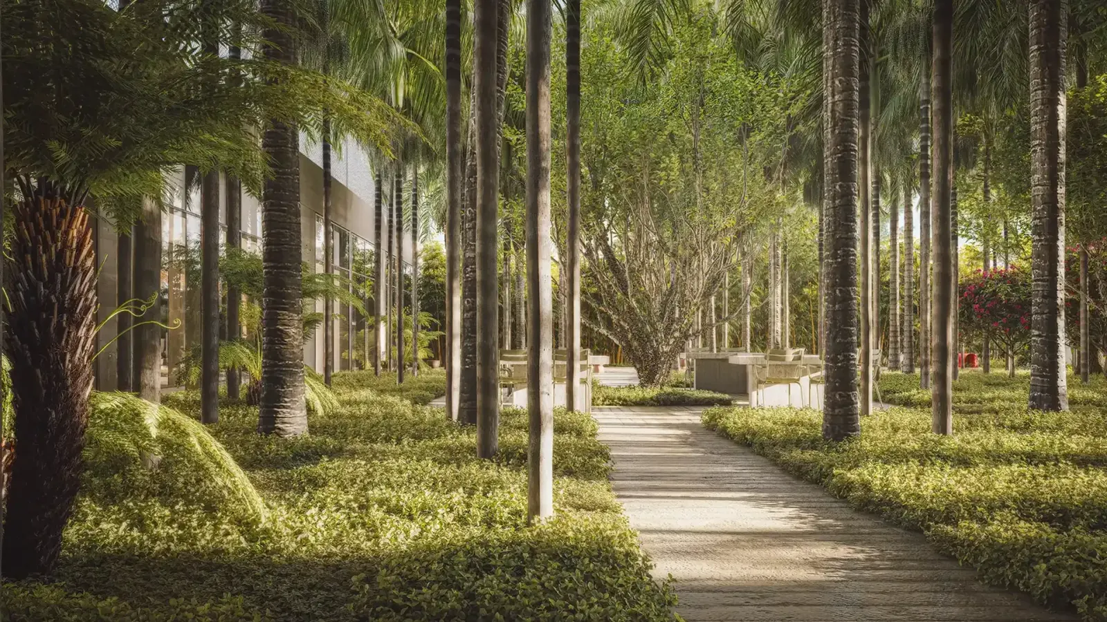 Uma trilha de pedra atravessa o bosque entre troncos altos de palmeiras e samambaias, com mesas à sombra e a fachada de vidro do prédio à esquerda.