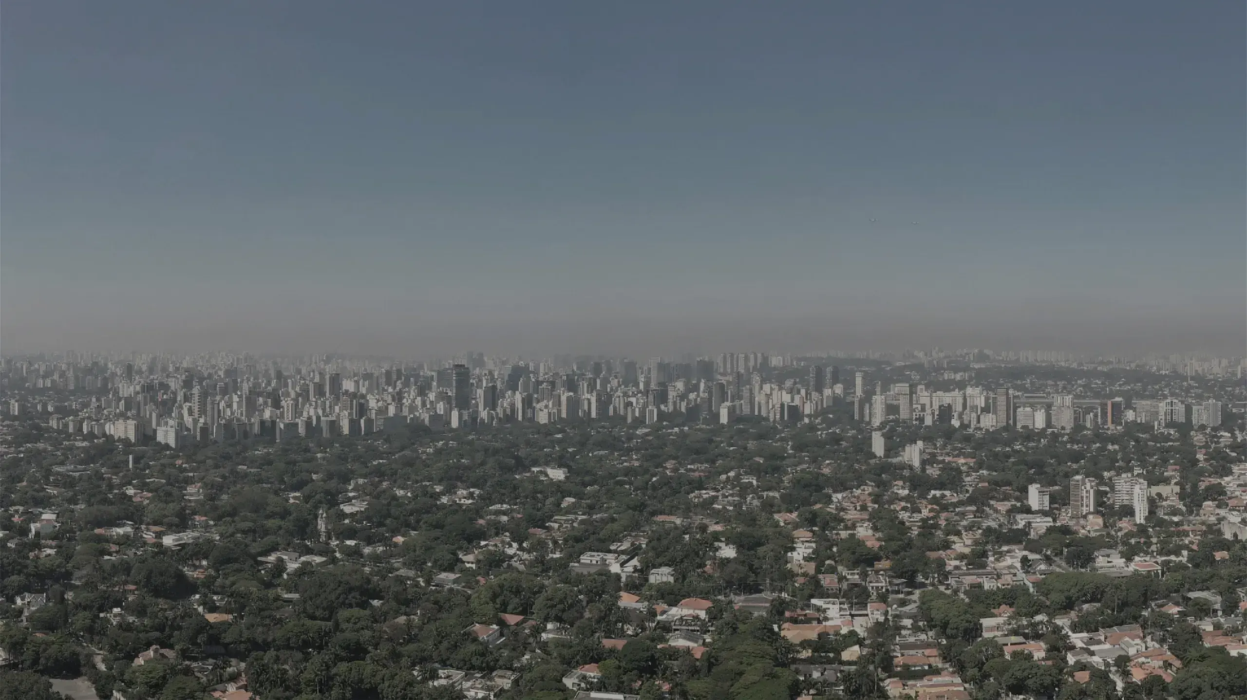 A cidade vista do alto, de dia: o verde do Jardim Europa logo abaixo, as casas entre as árvores e os prédios de São Paulo no horizonte, sob um céu azul-acinzentado.